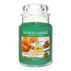 SALE Alfresco Afternoon - Yankee Candle Medium Jar 411g