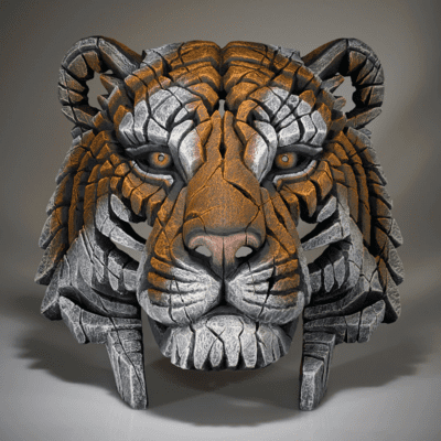 NEW Tiger Bust - Edge Sculpture 40cm by Matt Buckley