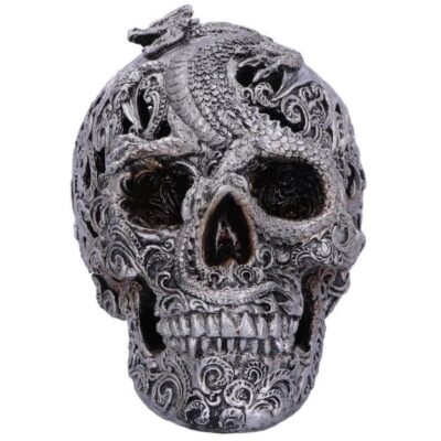 Silver Cranial Drakos Engraved Dragon Skull Ornament 19.5cm