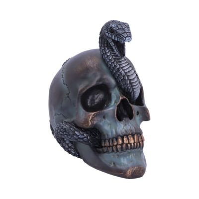Serpentine Fate Gothic Snake Skull 19cm Ornament Decoration