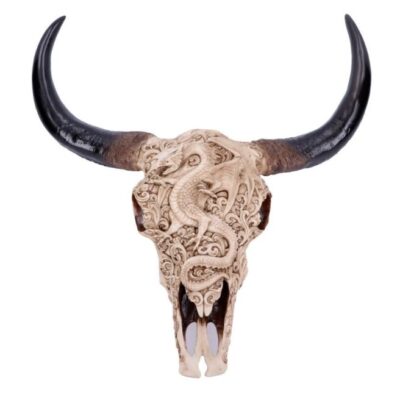 Mythical Markings Carved Dragon Animal Skull 44.5cm Wall Plaque Ornament