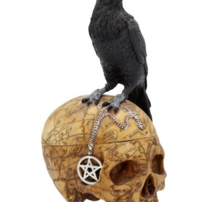 Salems Familiar Box Gothic Raven Skull Witch Pentagram Trinket Box 27cm