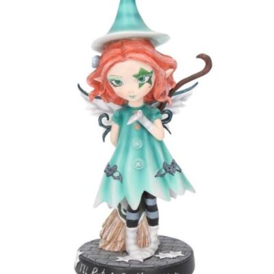 I'll Put A Spell On You Fairy With her Broomstick 19.5cm Figurine