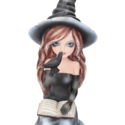 Regan Witch & Her Raven Figurine 15cm Gothic Alternative Figure