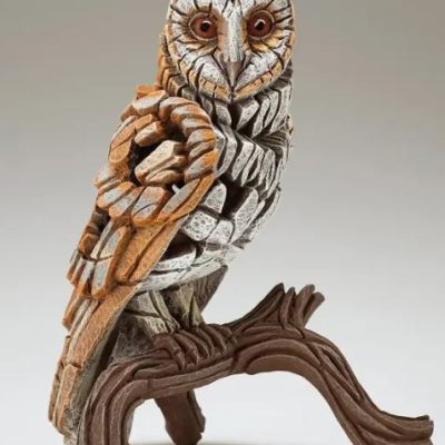 Barn Owl