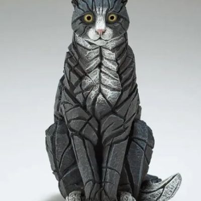 Sitting Black and white cat